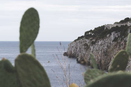 View of the coast in the city of Castroの写真素材