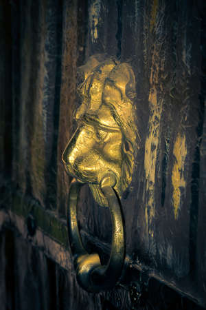 Knocker in the shape of a lion's head on golden antique doorの写真素材