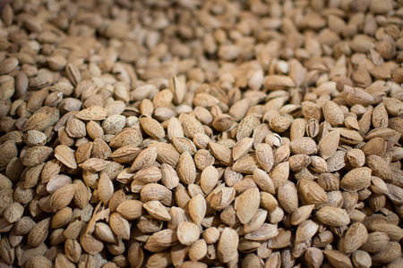bitter almonds ripiche southern Italy ready to eat