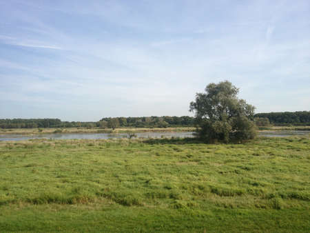Scenic landscape of flat green grassy countryside with a river flowing through beside a tree and distant low forested hillsの写真素材