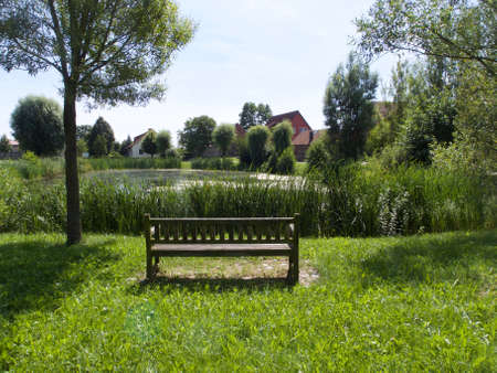 Bench on a grassy hill overlooking a picturesque tranquil village pond or lake with reeds in a lush landscapeの写真素材