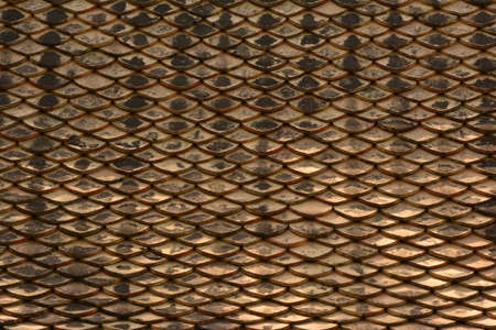 Thai patternの写真素材