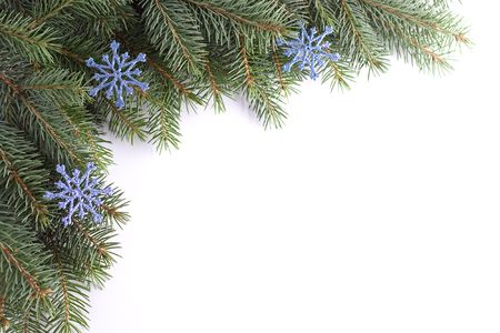 Green christmas twig with blue snowflakes.の写真素材