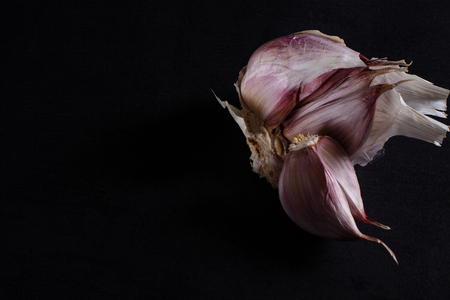 Fresh garlic on black background with copy space.の写真素材