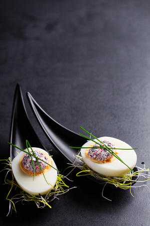 Appetizer on fingerspoon egg with caviar with copy space.の写真素材