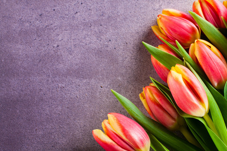 Bouquet of tulip flowers on background with copy space.の写真素材