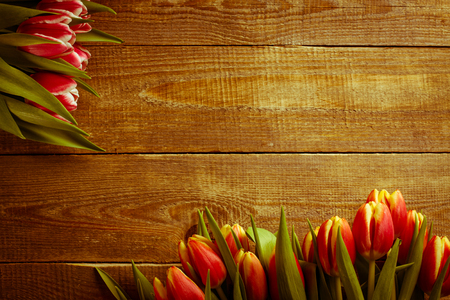 Bouquet of tulip flowers on background with copy spaceの写真素材