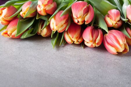Bouquet of tulip flowers on background with copy spaceの写真素材