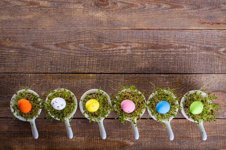 Growing cress in small bowls view from the top. Atypical Easter decoration with small eggs.