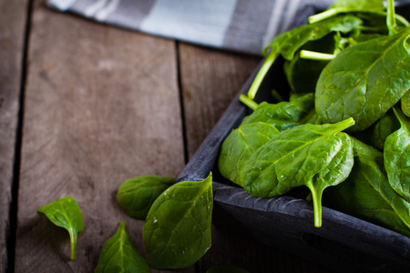 Baby spinach in wooden box and kitchen towel on old plank table.の写真素材