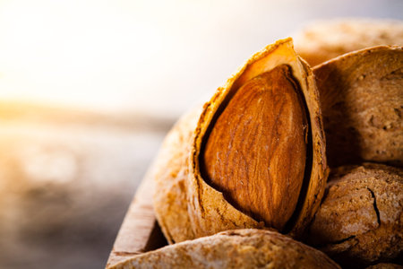 Almonds in the shell, close-up.の写真素材