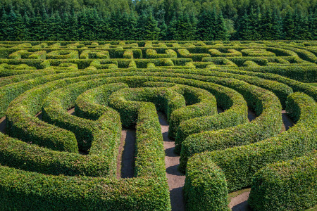 Green bushes circular labyrinth, hedge maze. Top view.の写真素材