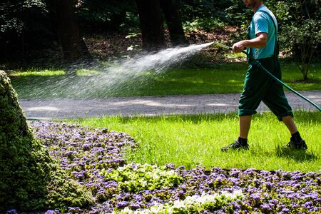 The gardener watering flowers and green sculpture with lichen in public park.の写真素材