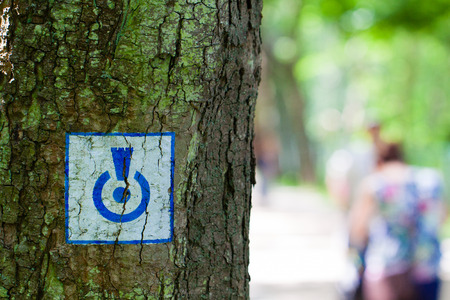 Marking the historical trail painted on a tree in Kolobrzeg, Poland.の写真素材