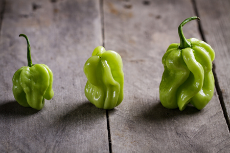 Three hot habanero peppers on wooden background.の写真素材