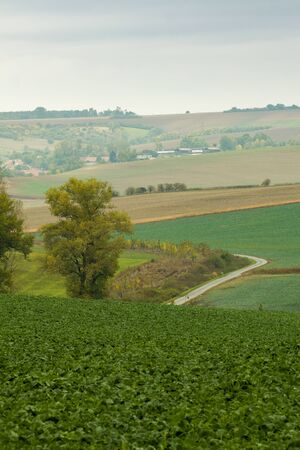 Incredible patterns on waved fields of South Moravia called the Moravian Tuscany, green and brown autumn colors. Czechia.の写真素材