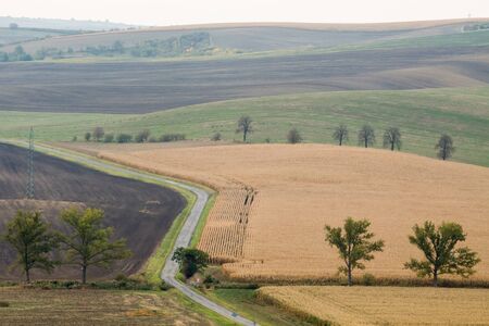 Incredible patterns on waved fields of South Moravia called the Moravian Tuscany, green and brown autumn colors. Czechia.の写真素材