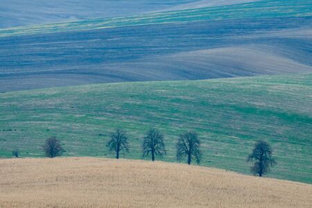 Incredible patterns on waved fields of South Moravia called the Moravian Tuscany, green and brown autumn colors. Czechia.の写真素材