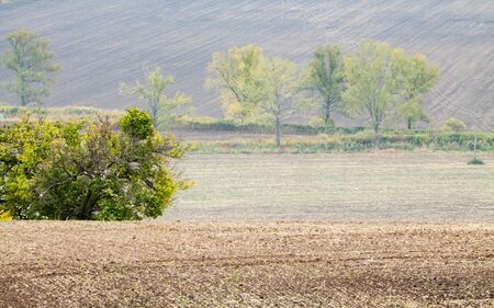 Incredible patterns on waved fields of South Moravia called the Moravian Tuscany, green and brown autumn colors. Czechia.の写真素材