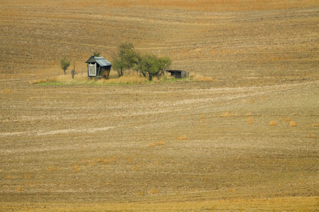 Small gazebo on moravian field in Czechia.の写真素材