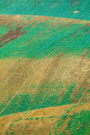 Background of Moravian fields, area called the Moravian Tuscany, Czechia.の写真素材