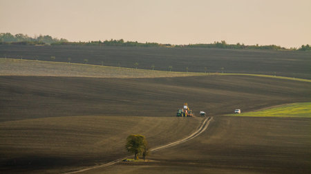 Agricultural work in the field.
