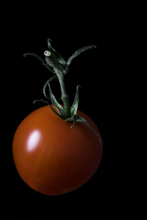 Fresh juicy cherry tomato with green twig isolated on black.の写真素材