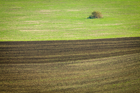 Background of Moravian fields, area called the Moravian Tuscany, Czechia.の写真素材
