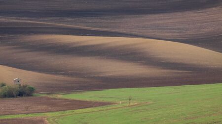 Background of Moravian fields, area called the Moravian Tuscany, Czechia.の写真素材