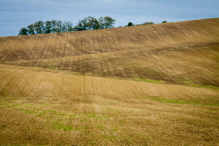 Incredible patterns on waved fields of South Moravia called the Moravian Tuscany, green and brown autumn colors. Czechia.の写真素材