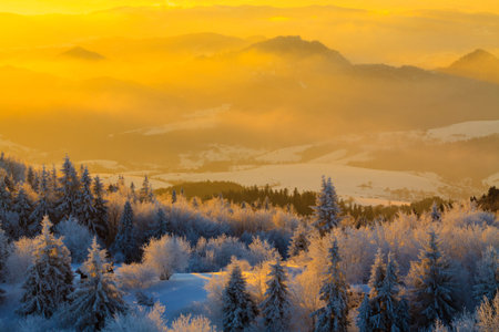 Mountain valley panorama during sunrise. Beautiful natural panoramic landscape in winter time.の写真素材