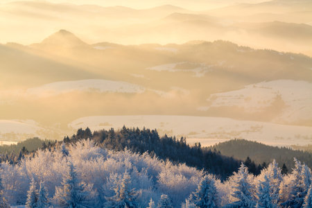 Mountain valley panorama during sunrise. Beautiful natural panoramic landscape in winter time.の写真素材