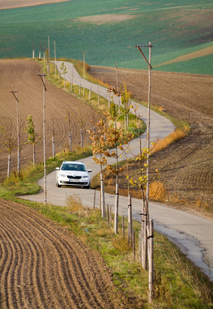 Kyjov, Czechia - October 14, 2016, White Skoda Octavia rides winding road among South Moravian fields.のeditorial素材