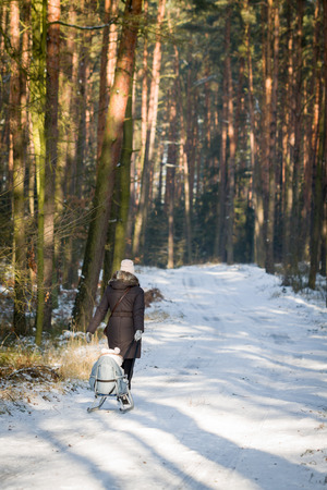 Mother strolling in forest at winter time and pull on sled her young daughter.の写真素材