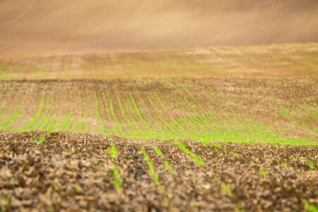 Moravian Fields. The landscape around Kyjov called the Moravian Tuscany, Czechia, Europe.の写真素材