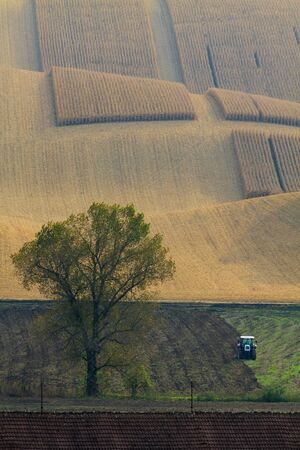 Moravian Fields. The landscape around Kyjov called the Moravian Tuscany, Czechia, Europe.の写真素材