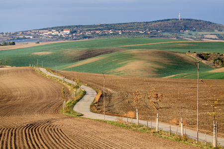 Moravian Fields. The landscape around Kyjov called the Moravian Tuscany, Czechia, Europe.の写真素材