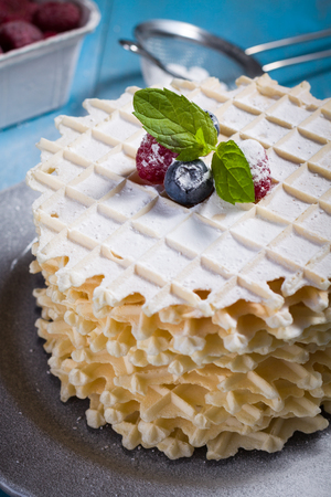 Belgian lush round waffles with fresh raspberries, twigs and leaves minty in plate.の写真素材