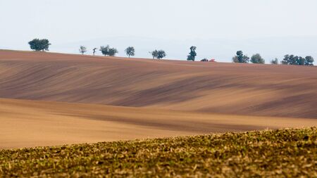 Moravian wavy fields with islands of tree in Czechia.の写真素材