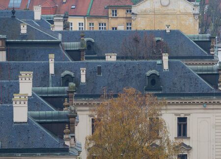 Old roofs with gray tile.の写真素材