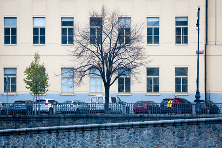 Prague, Czechia: November 11, 2016: Bare tree against on facade of building with many windows and cars on parking.のeditorial素材