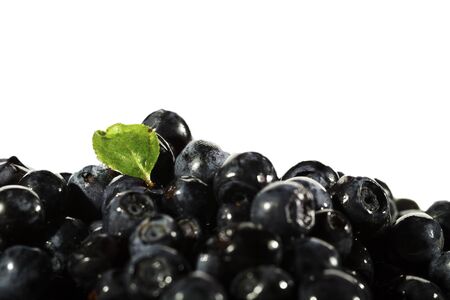 Pile of blueberries with green leaf on white background.の写真素材