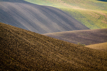 Panoramic view of cultivated field in South Moravia, Czechia. Beautiful wavy fields.の写真素材