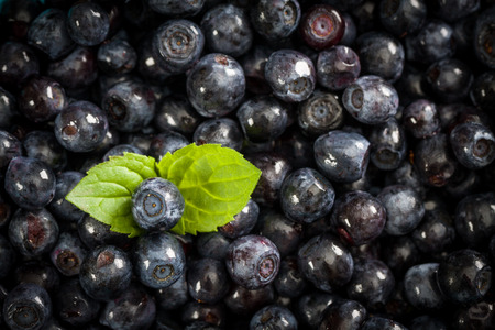 Blueberries background with fresh green leaf.の写真素材