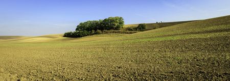 Panoramic view of cultivated field in South Moravia, Czechia. Beautiful wavy fields.の写真素材