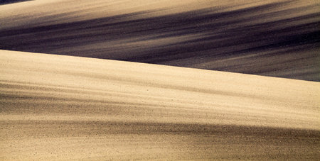 Panoramic view of cultivated field in South Moravia, Czechia. Beautiful wavy fields.