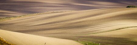 Panoramic view of cultivated field in South Moravia, Czechia. Beautiful wavy fields.の写真素材