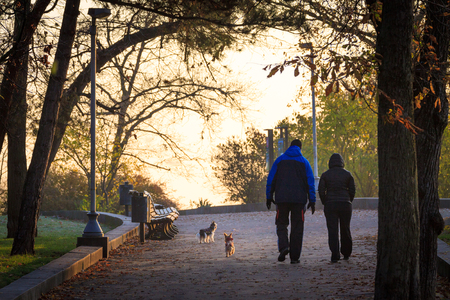 Couple of friends with dogs walking in city park at morning time.の写真素材