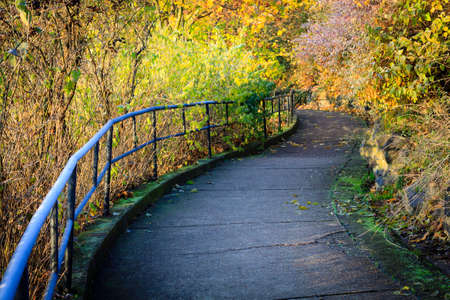 Autumn footpath in city park.の写真素材