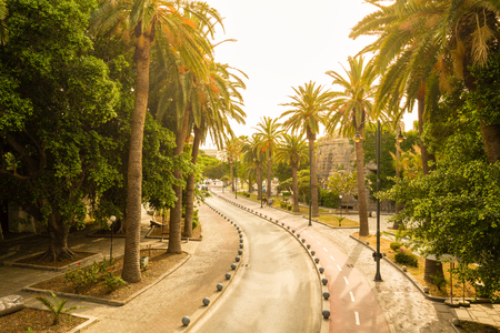 Cycle path near Neratzia Castle and ferry terminal in Kos Greece, with palm trees in sunny day.の写真素材